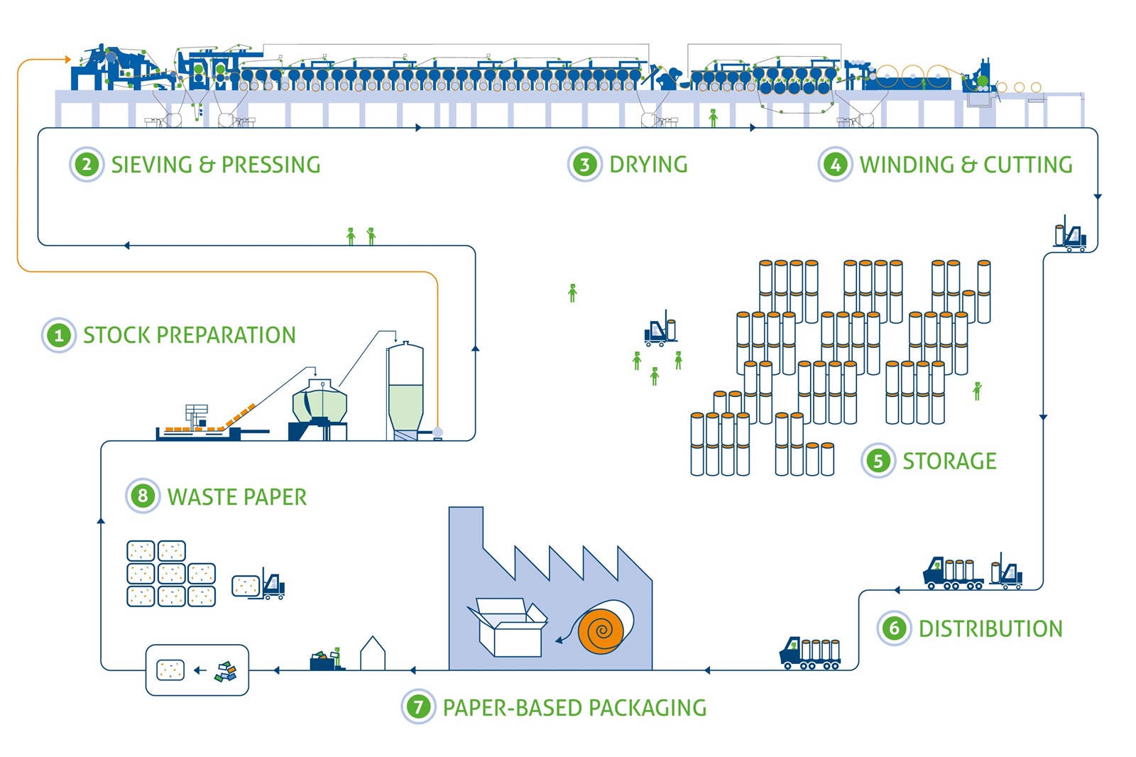 Infographic Paper Production Process